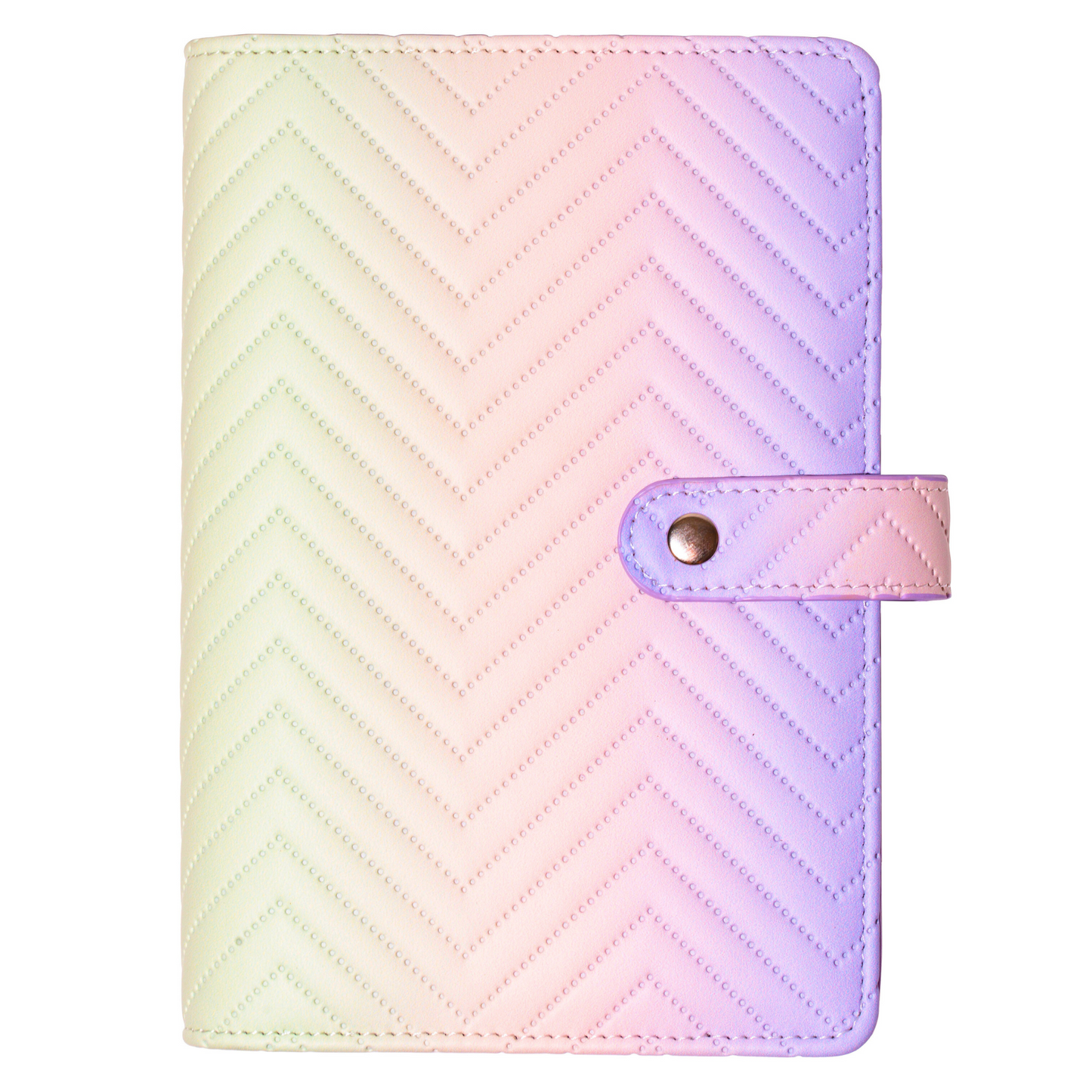 The Rich Girl Lifestyle Ombre Budget Binder