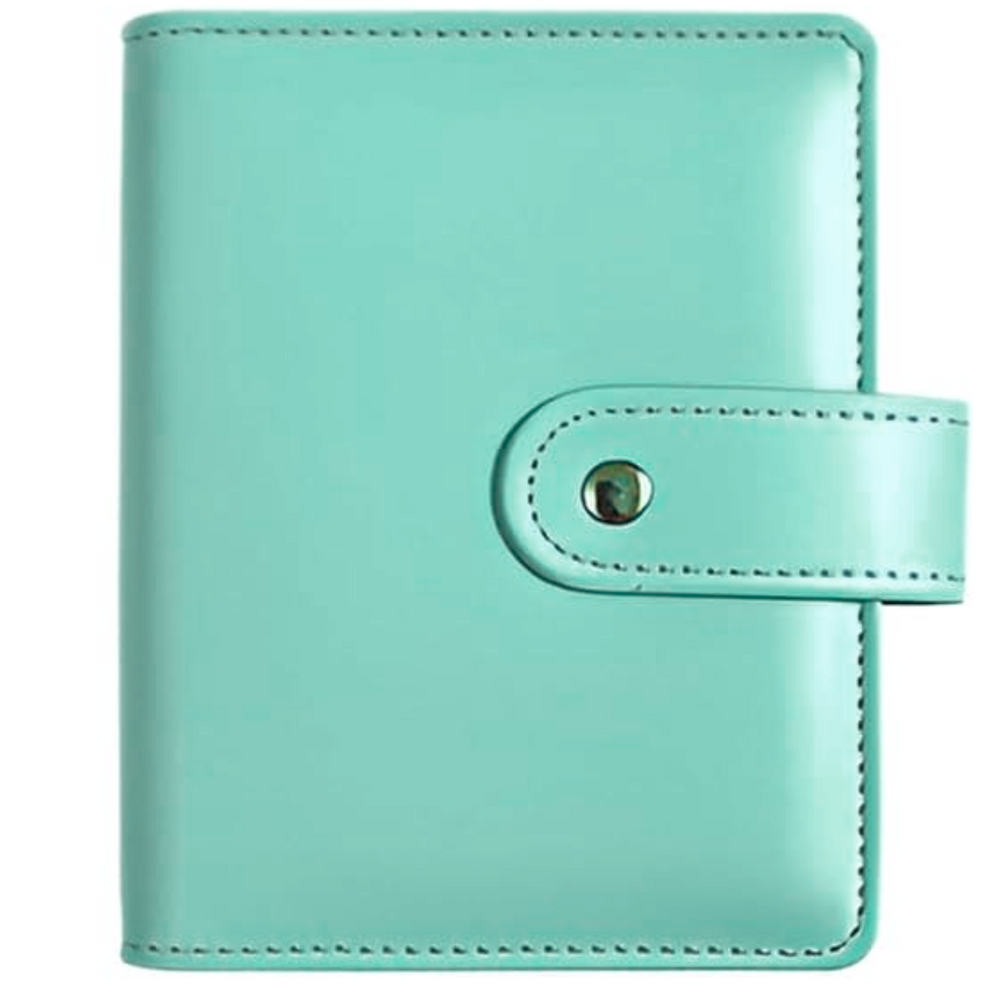 The Rich Girl Lifestyle  A7 Cash Binder